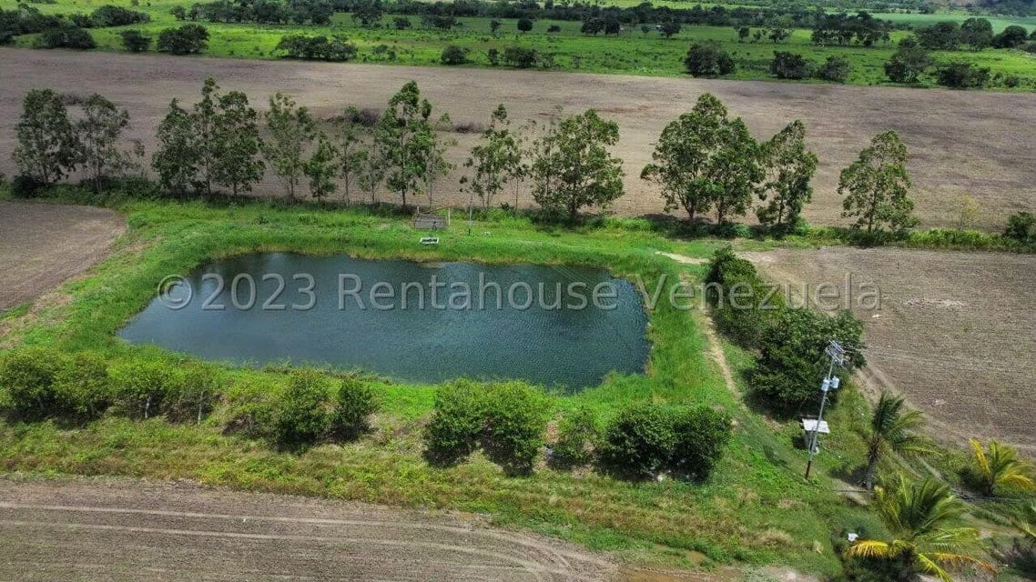 Terreno (Finca) en Venta en Municipio Peña, Yaracuy - 3