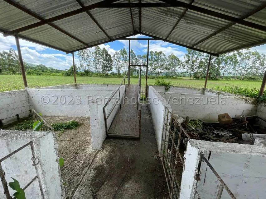 Terreno (Finca) en Venta en Municipio Peña, Yaracuy - 21
