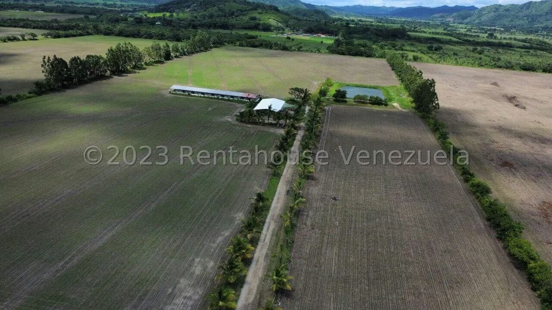 Terreno (Finca) en Venta en Municipio Peña, Yaracuy - 6