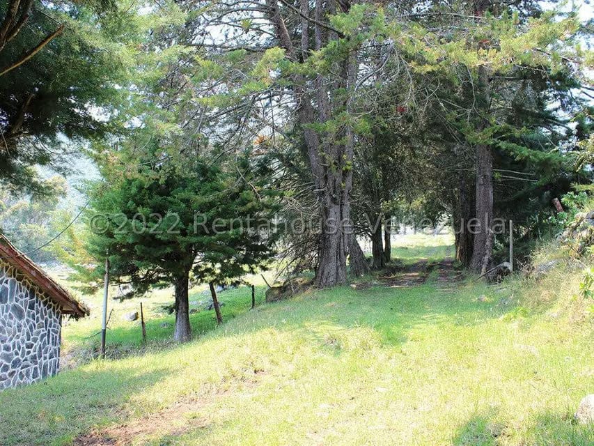 Terreno (Finca) en Venta en El Valle, Merida - 11