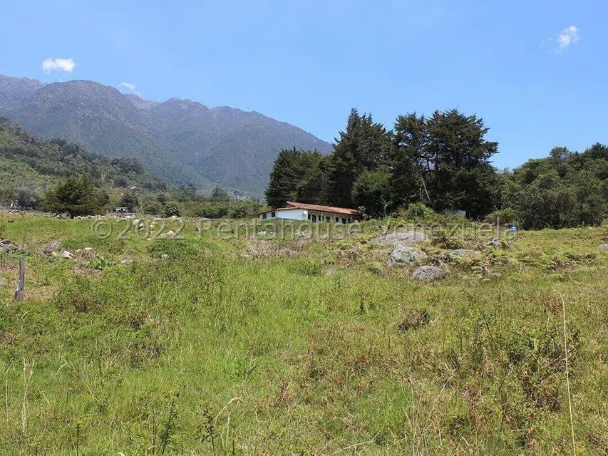 Terreno (Finca) en Venta en El Valle, Merida - 13