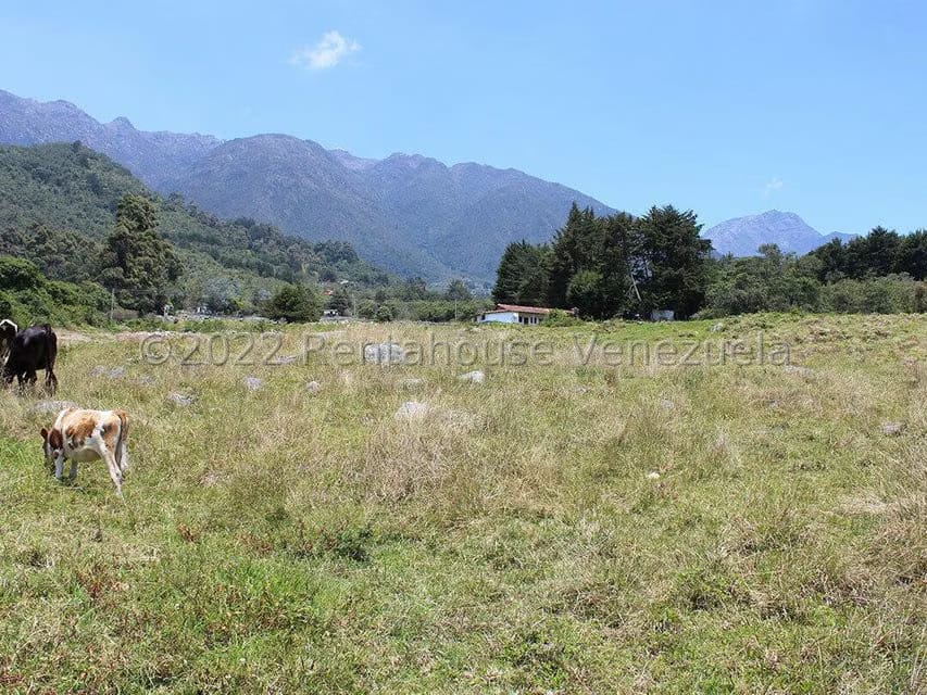 Terreno (Finca) en Venta en El Valle, Merida - 14