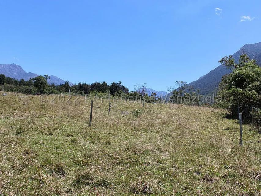 Terreno (Finca) en Venta en El Valle, Merida - 15
