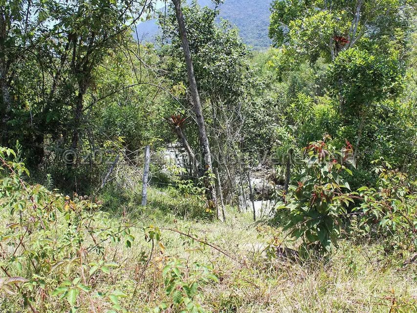 Terreno (Finca) en Venta en El Valle, Merida - 18