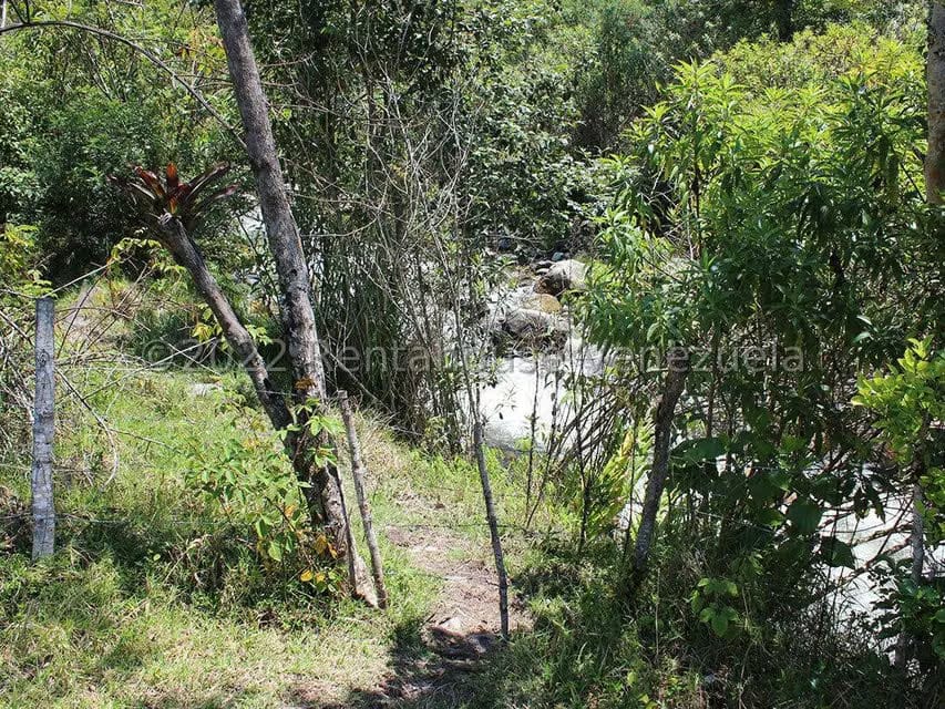 Terreno (Finca) en Venta en El Valle, Merida - 19