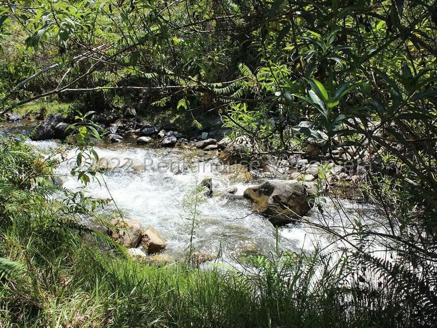 Terreno (Finca) en Venta en El Valle, Merida - 20
