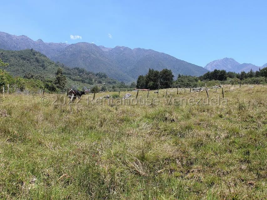 Terreno (Finca) en Venta en El Valle, Merida - 22
