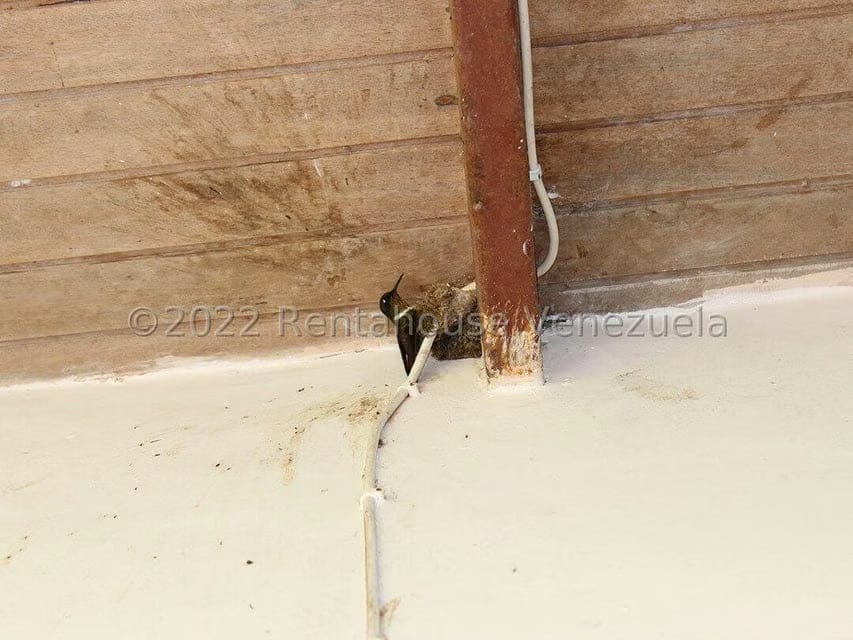Terreno (Finca) en Venta en El Valle, Merida - 38