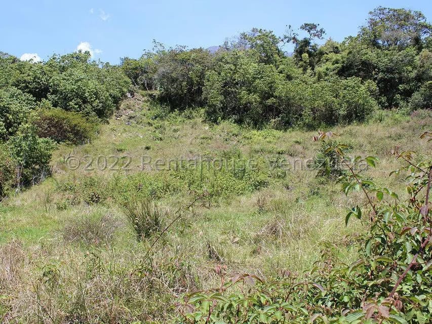 Terreno (Finca) en Venta en El Valle, Merida - 40