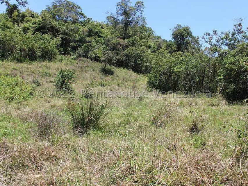 Terreno (Finca) en Venta en El Valle, Merida - 41
