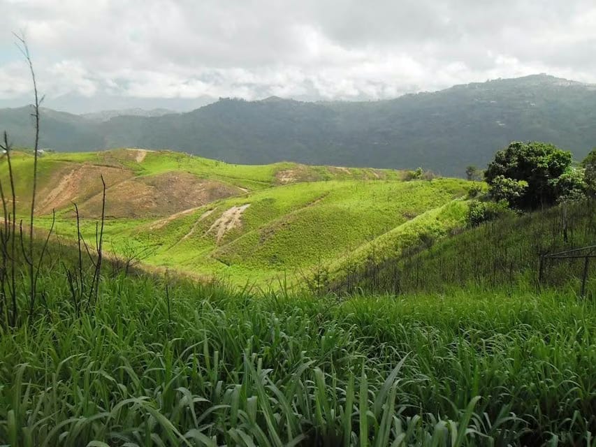 Terreno (Residencial) en Venta en El Hatillo, Distrito Metropolitano - 12
