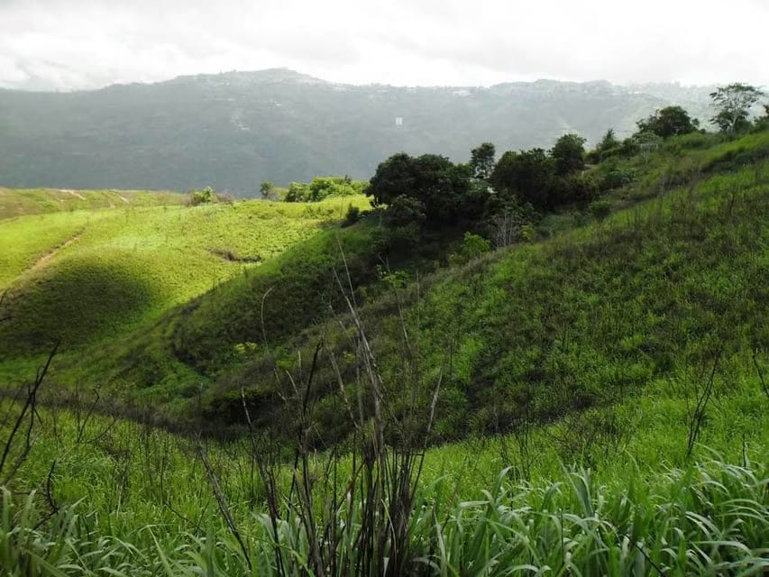 Terreno (Residencial) en Venta en El Hatillo, Distrito Metropolitano - 14