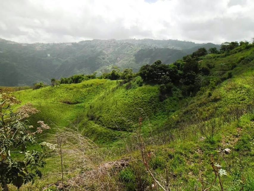 Terreno (Residencial) en Venta en El Hatillo, Distrito Metropolitano - 19