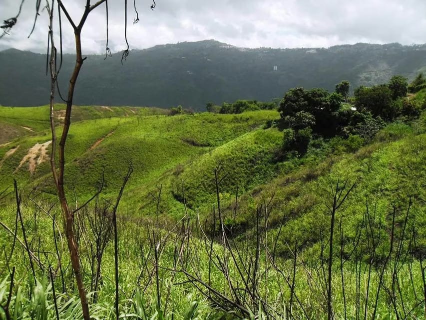 Terreno (Residencial) en Venta en El Hatillo, Distrito Metropolitano - 4