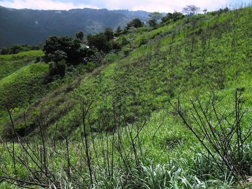 Terreno (Residencial) en Venta en El Hatillo, Distrito Metropolitano - 6