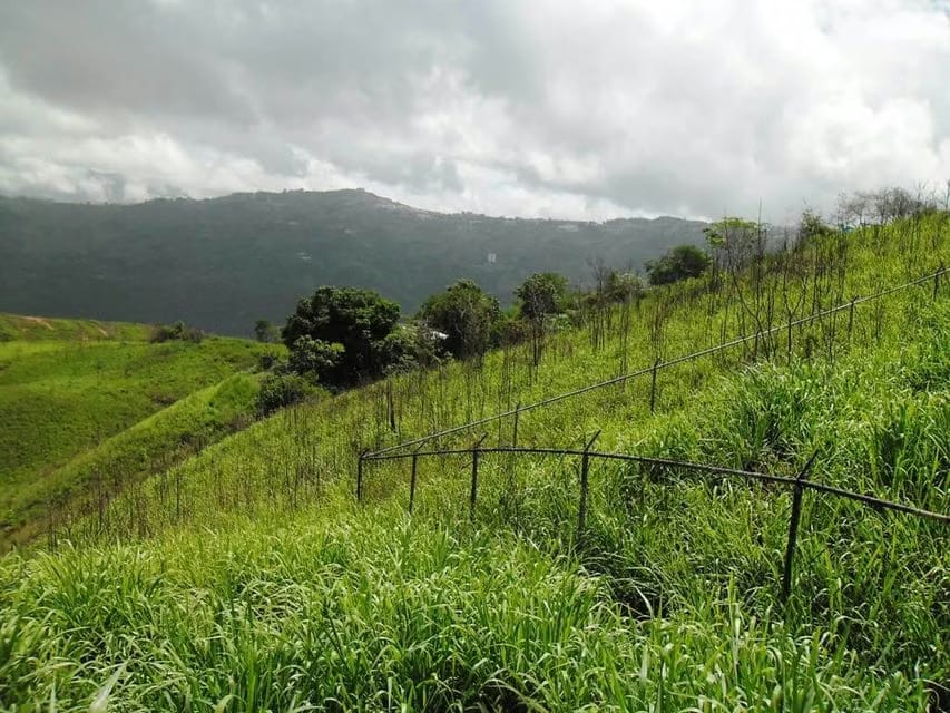 Terreno (Residencial) en Venta en El Hatillo, Distrito Metropolitano - 9
