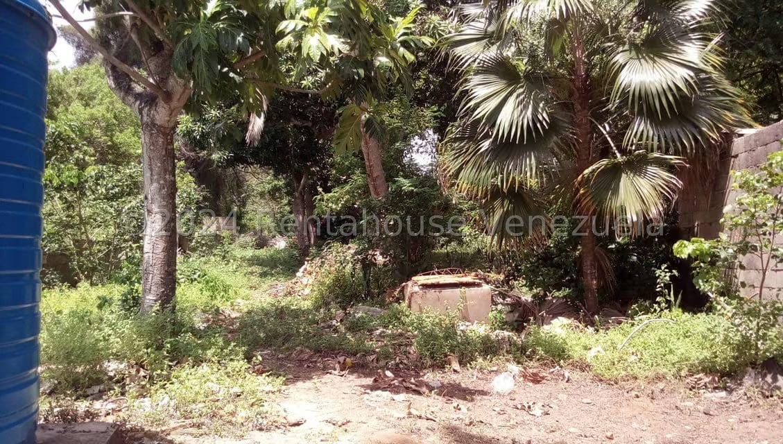 Terreno (Comercial) en Venta en La Asuncion, Nueva Esparta - 12