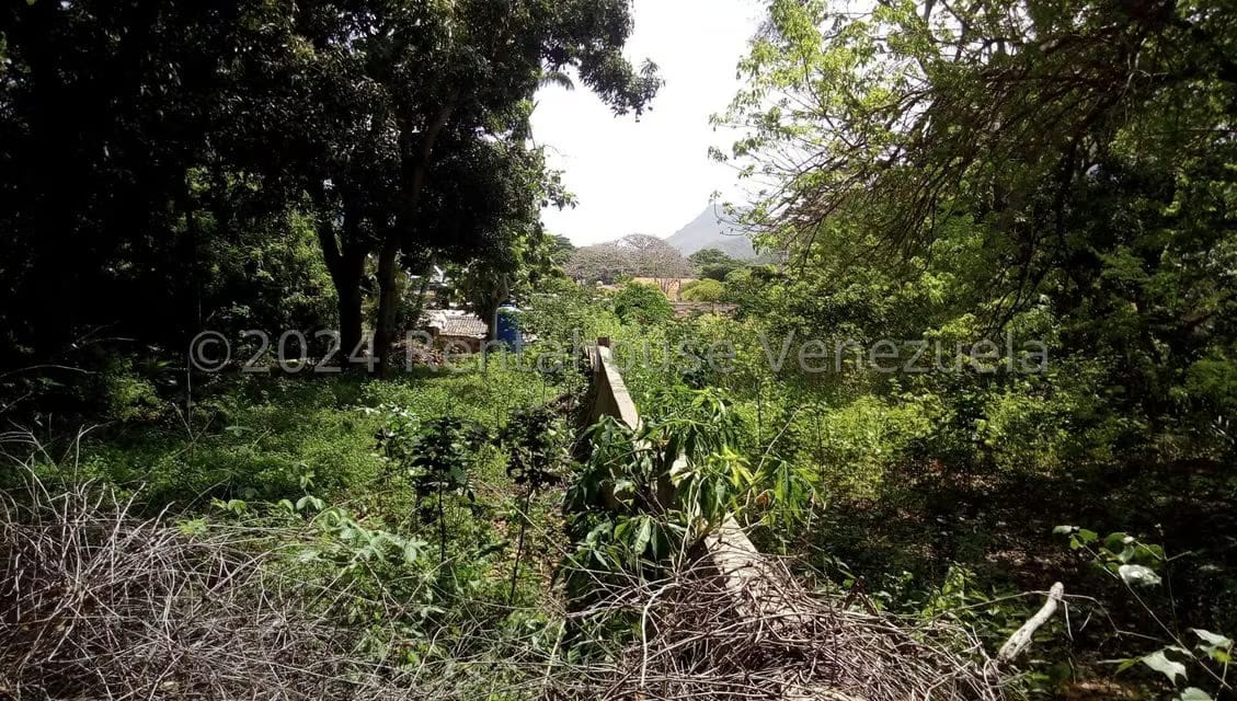 Terreno (Comercial) en Venta en La Asuncion, Nueva Esparta - 5