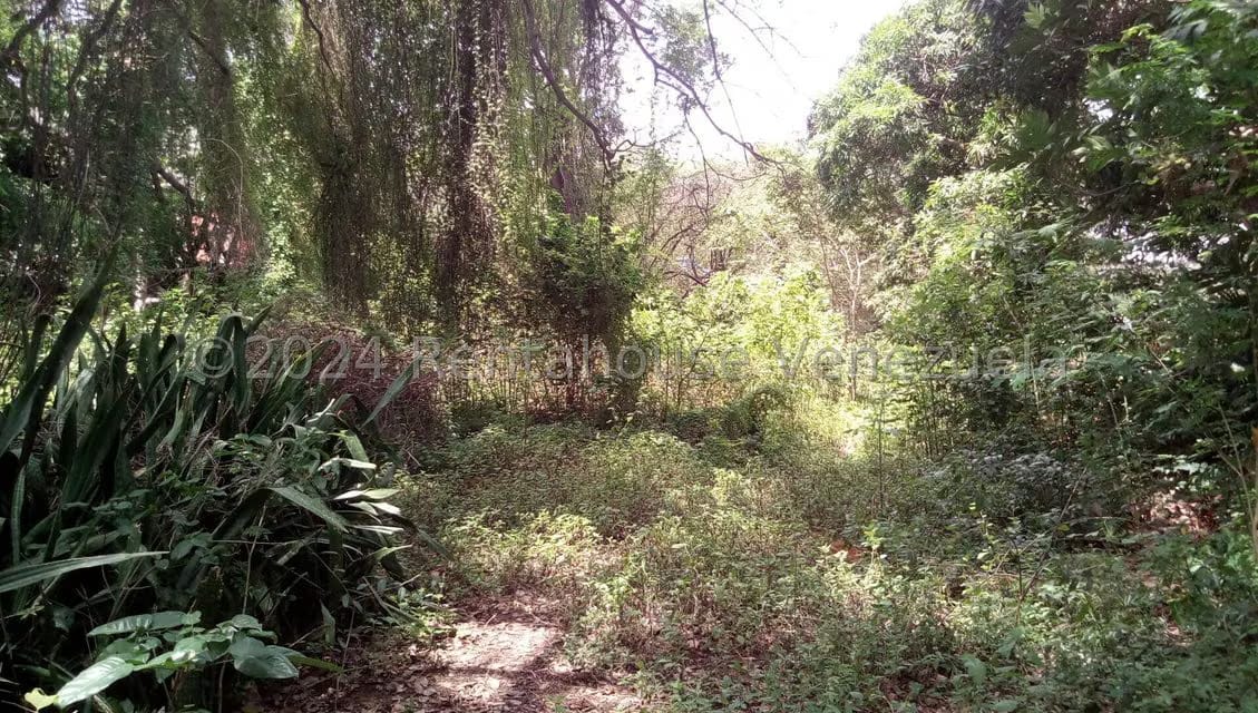 Terreno (Comercial) en Venta en La Asuncion, Nueva Esparta - 6