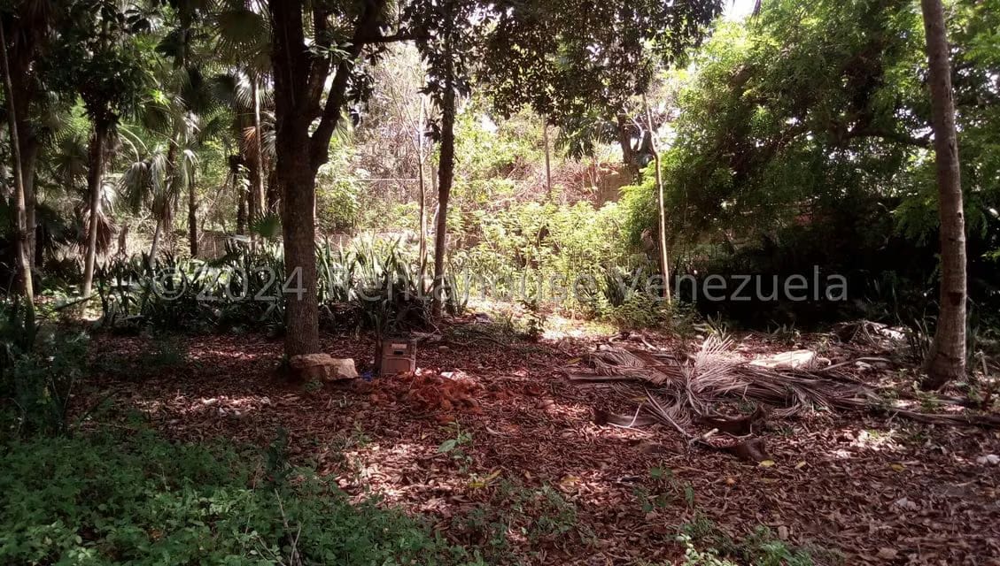 Terreno (Comercial) en Venta en La Asuncion, Nueva Esparta - 7