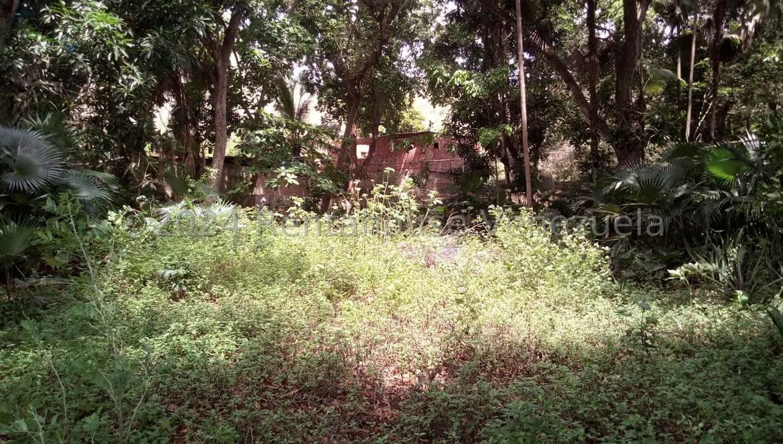 Terreno (Comercial) en Venta en La Asuncion, Nueva Esparta - 8