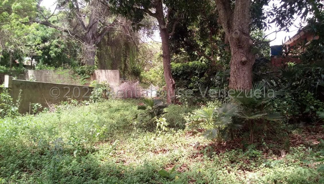 Terreno (Comercial) en Venta en La Asuncion, Nueva Esparta - 9