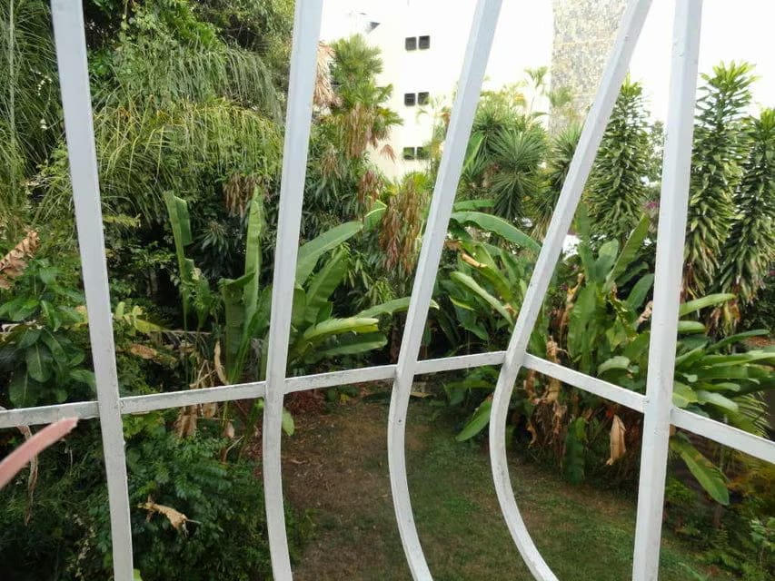 Terreno (Residencial) en Venta en Los Palos Grandes, Distrito Metropolitano - 23