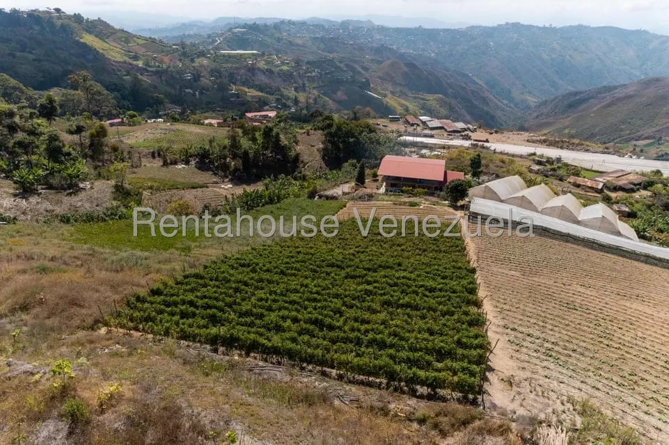 Terreno (Finca) en Venta en Municipio Guaicaipuro, Miranda - 2