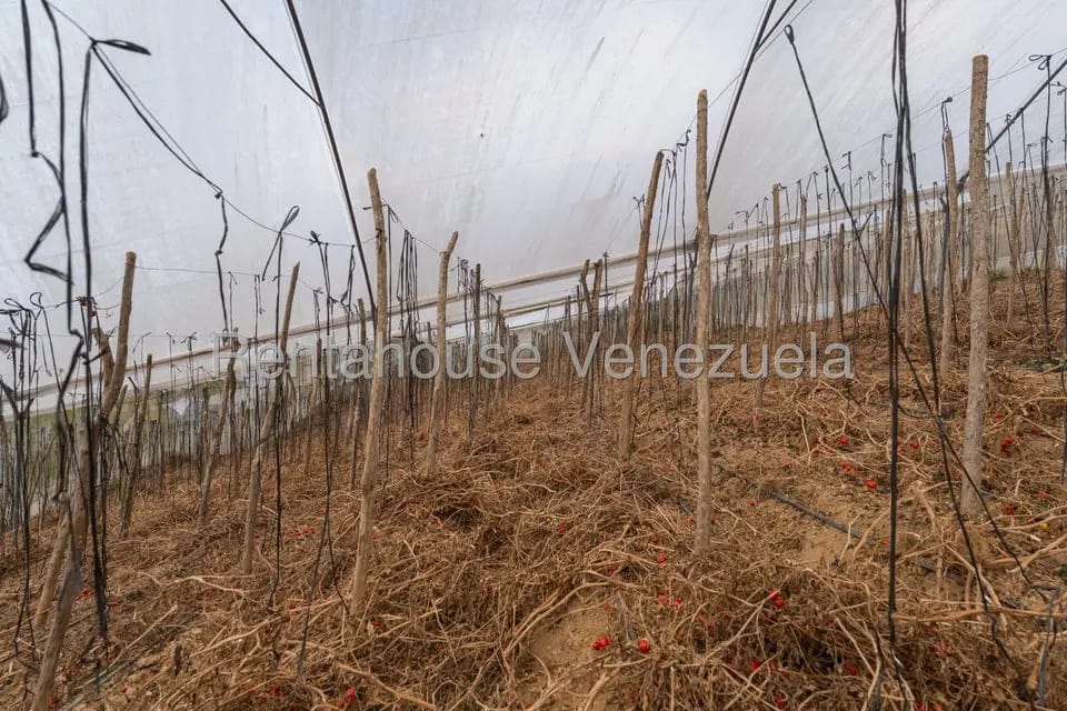 Terreno (Finca) en Venta en Municipio Guaicaipuro, Miranda - 17