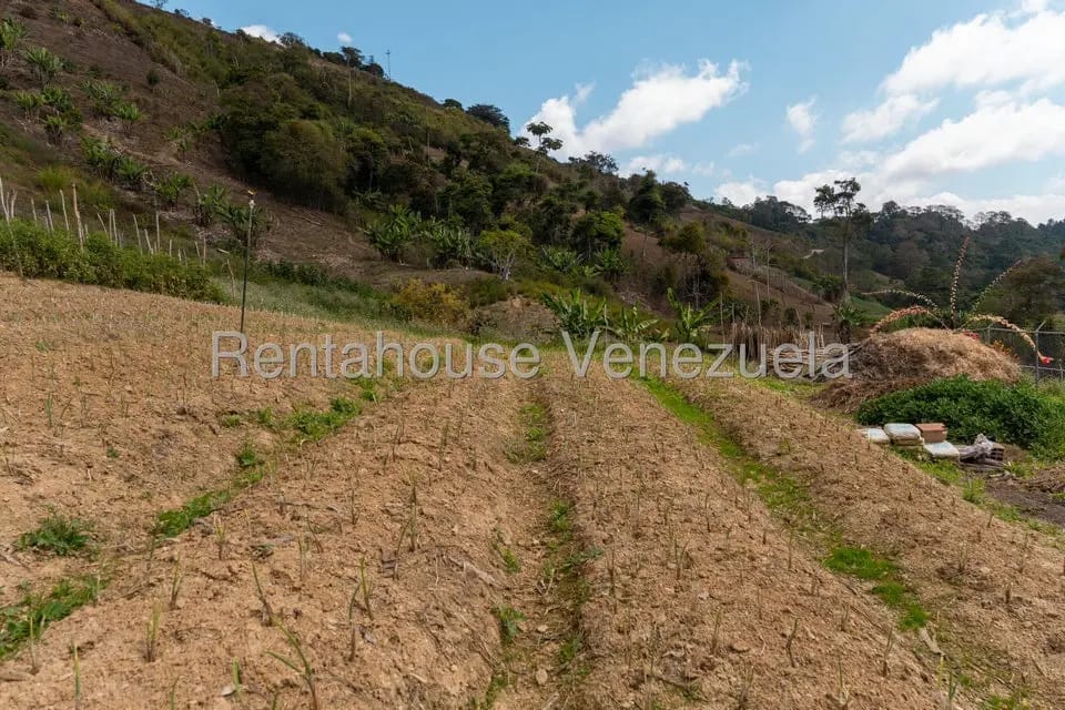 Terreno (Finca) en Venta en Municipio Guaicaipuro, Miranda - 20