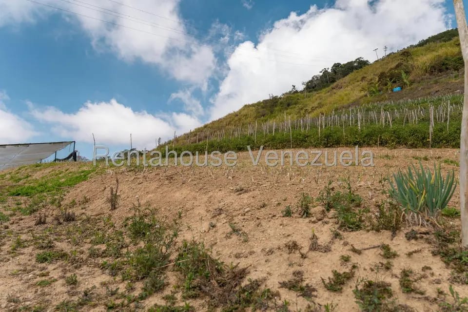 Terreno (Finca) en Venta en Municipio Guaicaipuro, Miranda - 22