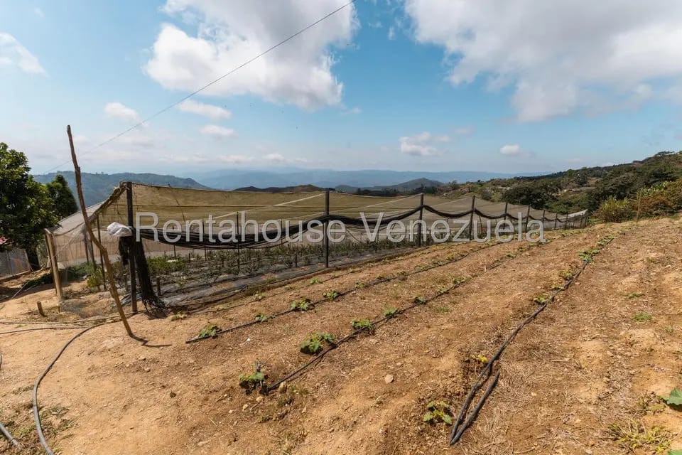 Terreno (Finca) en Venta en Municipio Guaicaipuro, Miranda - 30