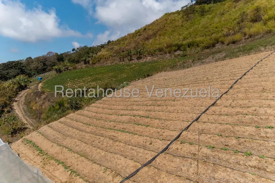 Terreno (Finca) en Venta en Municipio Guaicaipuro, Miranda - 6