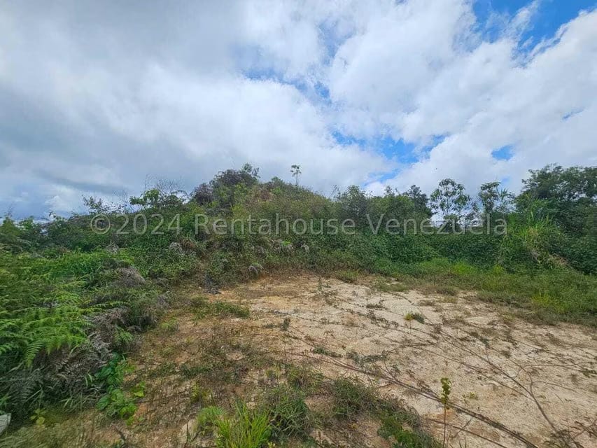 Terreno (Residencial) en Venta en Club de Campo, Miranda - 18