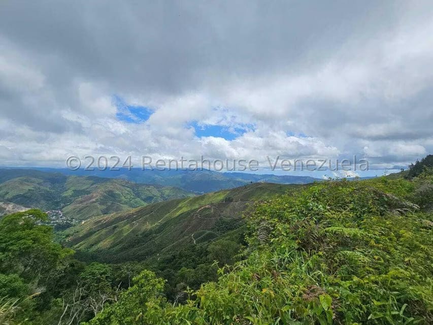 Terreno (Residencial) en Venta en Club de Campo, Miranda - 19