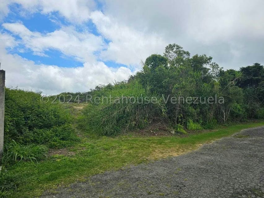 Terreno (Residencial) en Venta en Club de Campo, Miranda - 21