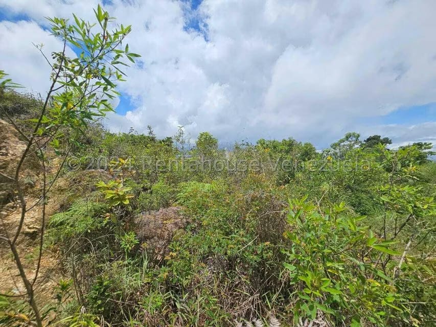 Terreno (Residencial) en Venta en Club de Campo, Miranda - 23