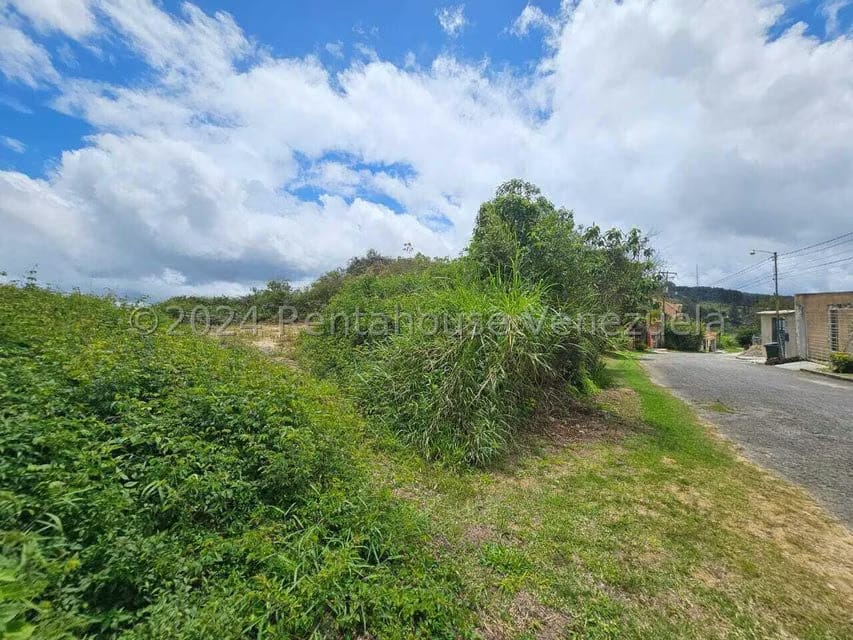 Terreno (Residencial) en Venta en Club de Campo, Miranda - 7