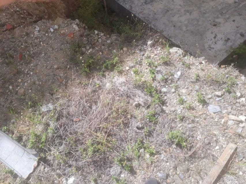 Terreno (Comercial) en Venta en Macuto, Vargas - 3