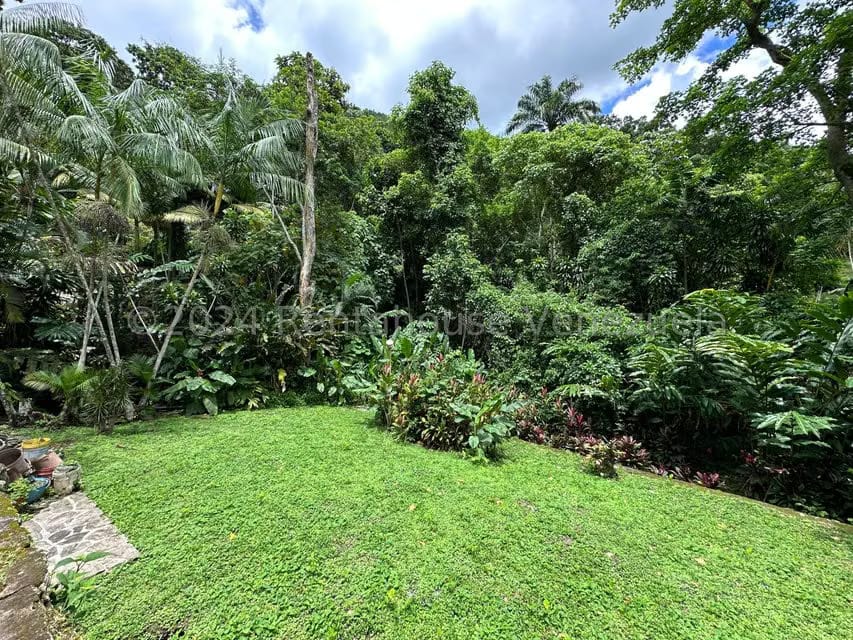 Casa (Duplex) en Venta en Lomas de Palmarito, Aragua - 53