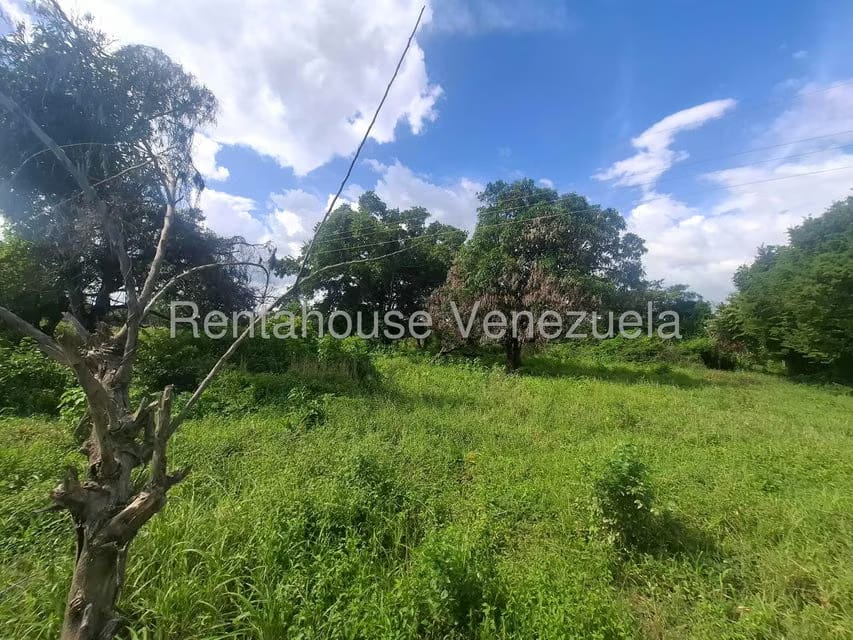 Terreno (Comercial) en Venta en Araure, Portuguesa - 4