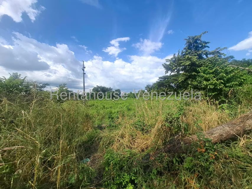 Terreno (Comercial) en Venta en Araure, Portuguesa - 5