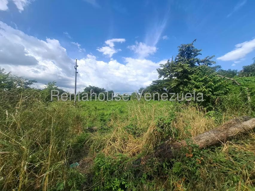 Terreno (Comercial) en Venta en Araure, Portuguesa - 6