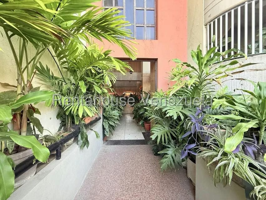 Apartamento (1 Nivel) en Alquiler en La Mata, Lara - 4