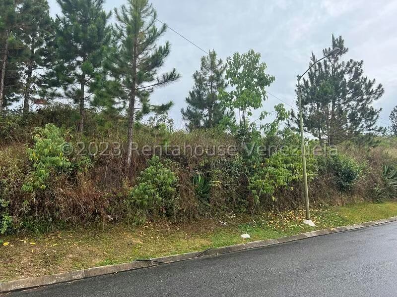 Terreno (Residencial) en Venta en Alto Hatillo, Distrito Metropolitano