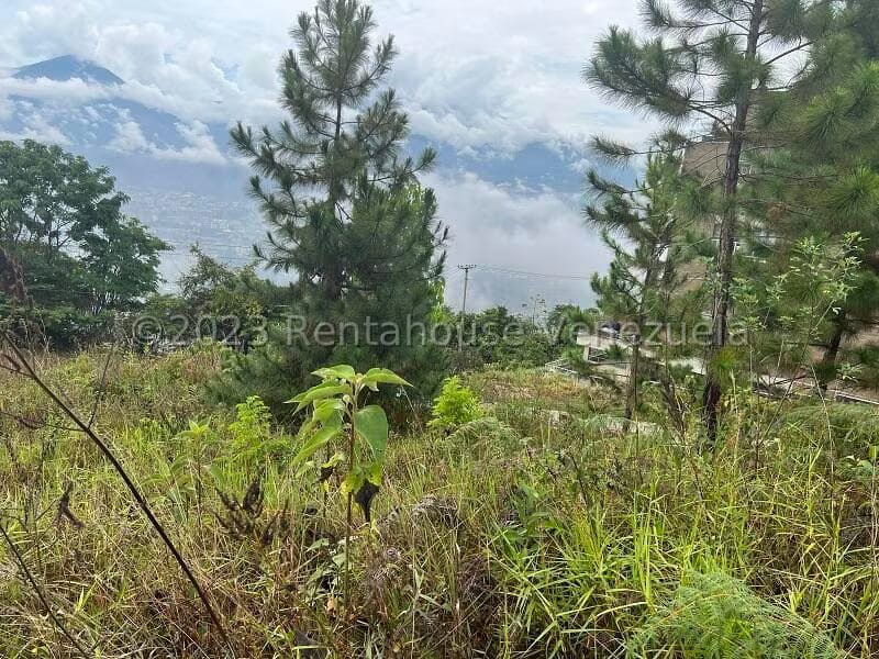 Terreno (Residencial) en Venta en Alto Hatillo, Distrito Metropolitano - 11