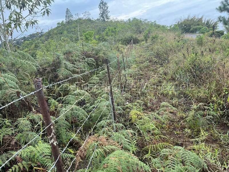 Terreno (Residencial) en Venta en Alto Hatillo, Distrito Metropolitano - 12