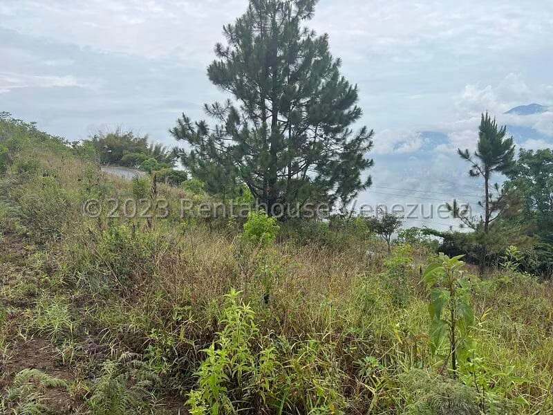 Terreno (Residencial) en Venta en Alto Hatillo, Distrito Metropolitano - 13