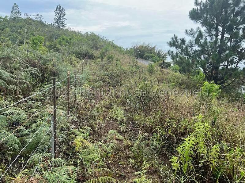 Terreno (Residencial) en Venta en Alto Hatillo, Distrito Metropolitano - 14