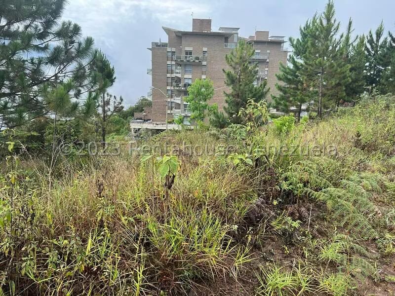 Terreno (Residencial) en Venta en Alto Hatillo, Distrito Metropolitano - 16